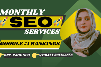 provide monthly SEO service for 1st page google rankings