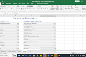 do accounting bookkeeping US and canadian tax returns and payroll