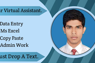 do ethical  data  entry  , copypaste, ms excel   work
