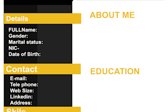 make professional cv resume design or resume design
