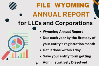file annual report for your wyoming llc or corporation as a US accountant