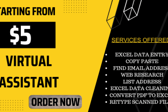 be your virtual assistant for web research, lead generation