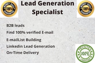 virtual assistant, lead generation, data mining