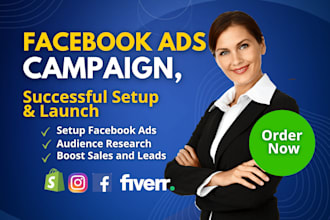 setup, optimize, and launch your facebook ads campaign