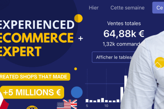 coach you and audit your ecommerce and shopify website