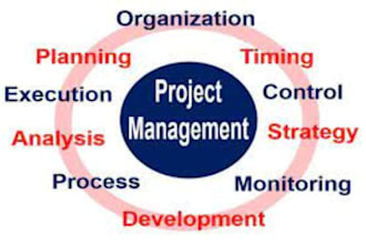 do comprehensive project management and business plan