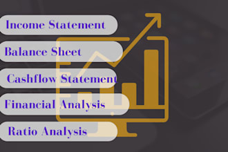 prepare financial statements, profit and loss, balance sheet and cash flow