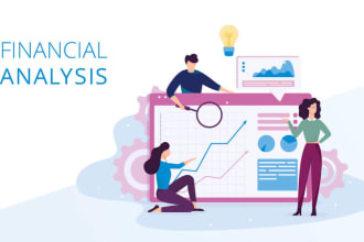 do the financial and data analysis