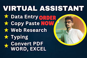 be your virtual assistant for data entry, copy paste, convert pdf, word, excel