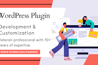 develop custom wordpress plugins