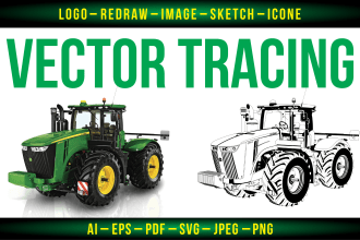 redraw vector trace or recreate your logo or image perfectly
