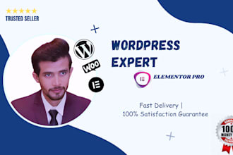be perfect wordpress website developer, full website creation, responsive design