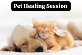 do pet healing with emotion and body code