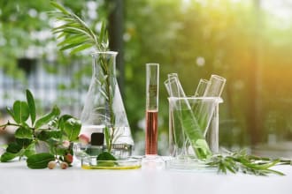 prepared cannabis, cbd,thu oil, oil  extraction  business plan