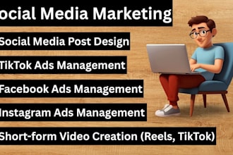 do facebook video ads, instagram video ads, tiktok ads
