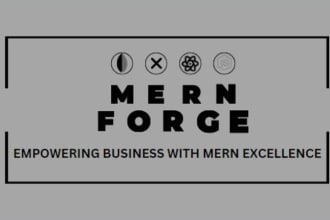 be your expert mern stack developer for full stack web apps