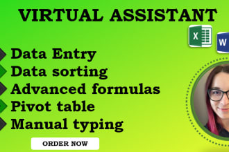 be your virtual assistant for data entry, data cleaning, advanced formulas