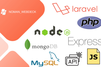 build high performance PHP script and node js backend apis web applications