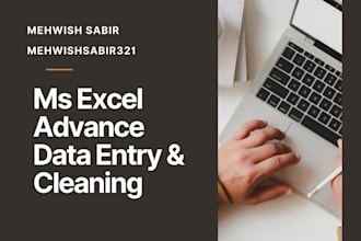do excel data entry, cleaning and sorting