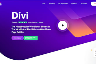 be your divi theme expert
