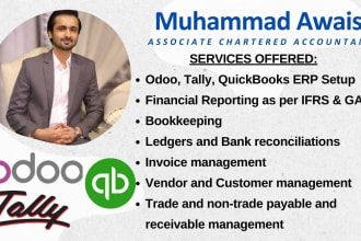 do setup, clean up and bookkeeping in odoo, quickbooks online and tally