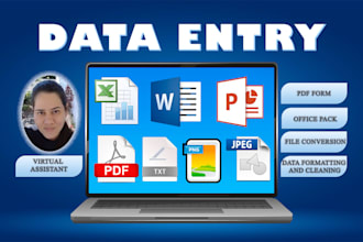data entry and data formatting