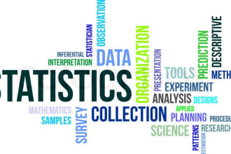 do statistics assignments and projects using spss, stata, r