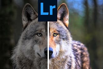 edit your instagram and facebook photos by lightroom