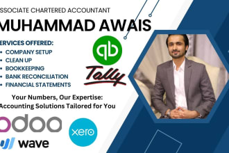 do setup, clean up and bookkeeping in odoo, quickbooks online, xero and wave