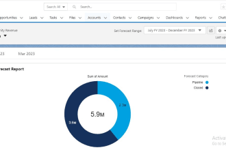 be your salesforce developer for apex, visualforce, lightning