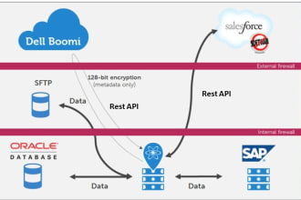 your salesforce developer for integration of rest and soap API