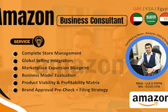 be your expert amazon virtual assistant in ksa,uae,usa,uk,egypt