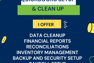 quickbooks clean up and setup