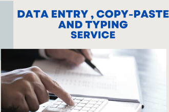do professional data entry, excel, word and copy paste