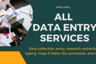 do excel data entry, data collection, web research, copy paste, merge, vlookup