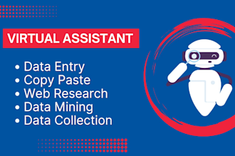be your virtual assistant for data entry and web research