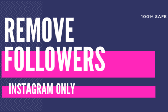 remove your fake instagram followers, the safest method