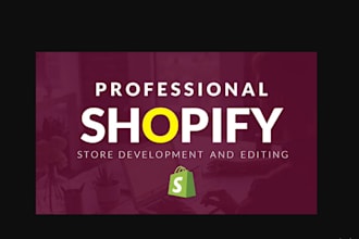 set up shopify store