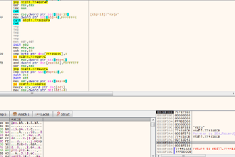 malware analysis and reverse engineering with reporting