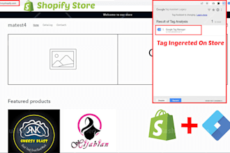 setup meta facebook pixel shopify, tiktok pixel, API,GTM,ga4,google ads tracking