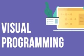 help in visual programming cs411, computer science