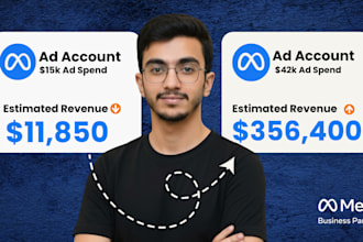 scale ecommerce sales with meta ads and high ROI facebook ads