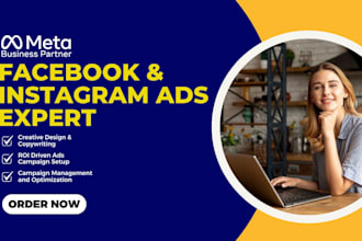 manage sales driven meta ads and facebook ads campaigns