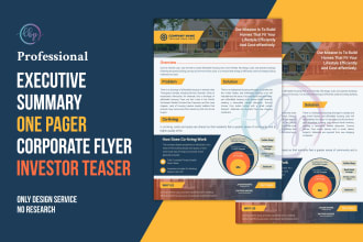 do an executive summary, one pager, corporate flyer, investor teaser, or report