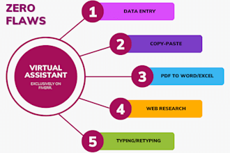 be your virtual assistant for data entry, copypaste and m excel