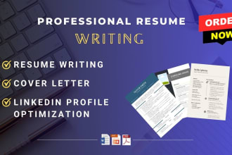 deliver 12 hours professional resume maker and tech CV writing service