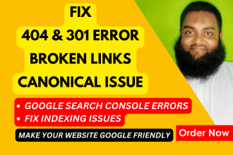 fix 301,404 errors, broken links, indexing, and canonical issues