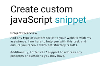 write a custom javascript snippet for you