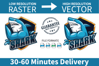 do vector tracing , clean up, logo vectorize image raster to vector ai