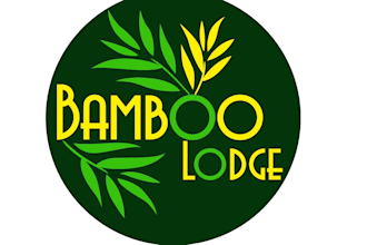 design an excellent and eye catching bamboo logo for you